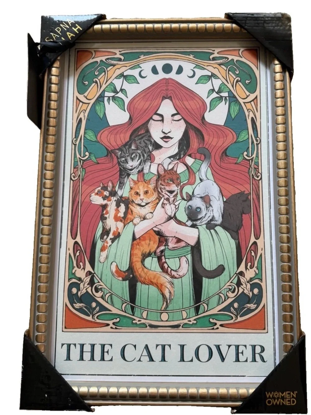 Sapna shah the cat lover framed wall art viral New